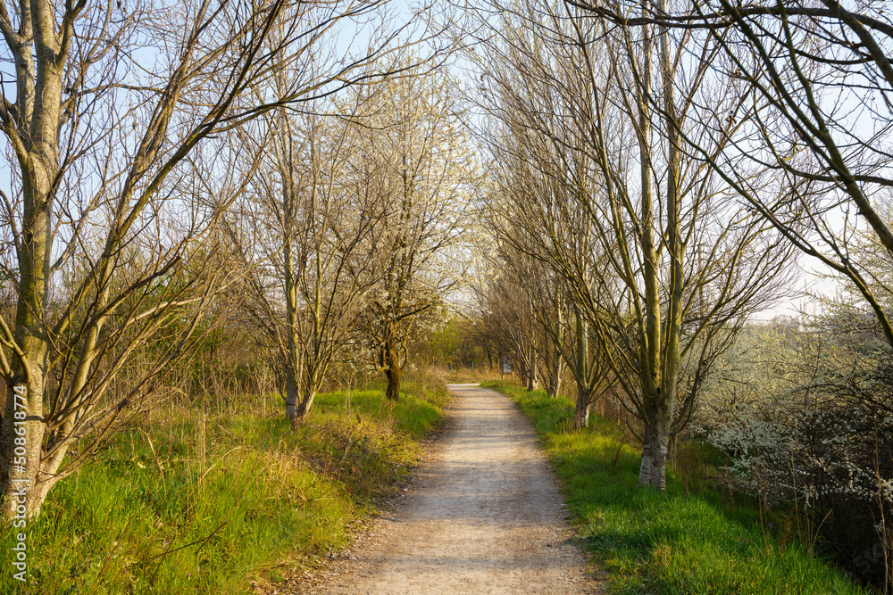 Grugnotorto park, Milan, Italy, at March