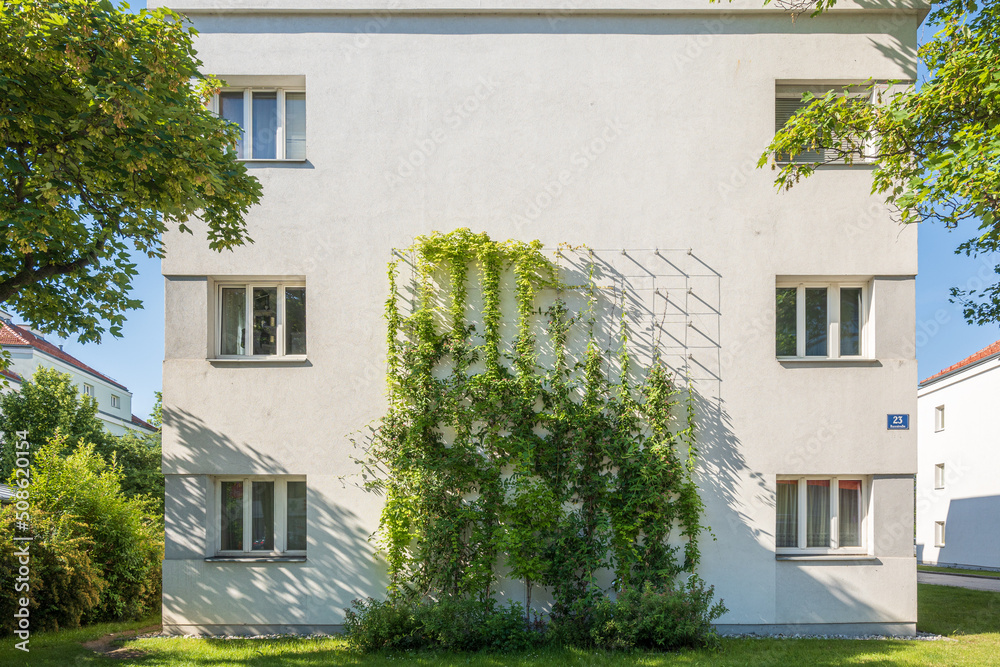 Facade greening with climbing plants in Vienna Favoriten Facade greening with climbing plants in Vienna Favoriten