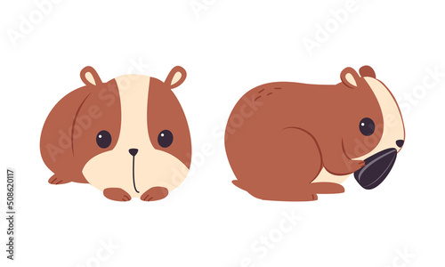Cute Hamster Character with Stout Body Sitting and Eating Sunflower Seed Vector Set