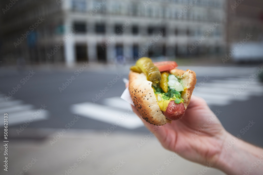 Obraz premium Close-up of hand holding hot dog. Street food in Chicago..