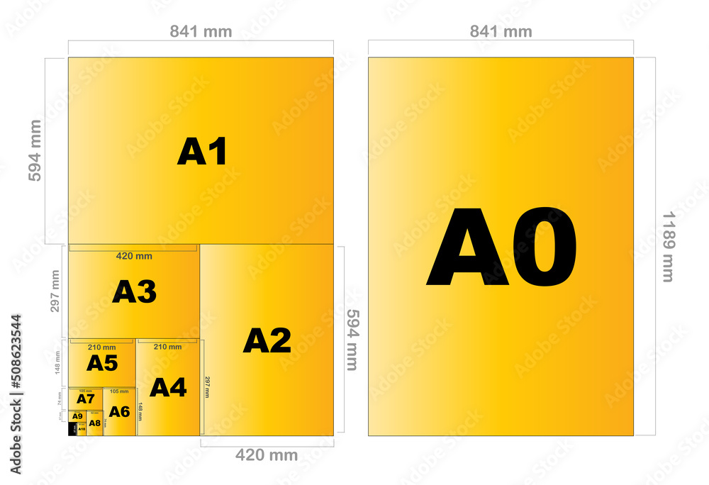 stock vector paper sizes formats. set of white paper sheet ...