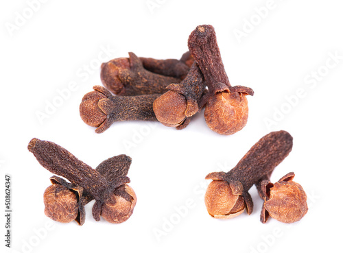 Dry cloves isolated on white background. Cloves spice. Spices and herbs.