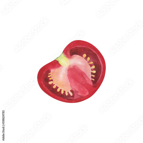 Ripe tomato slice. Watercolor illustration fresh vegetabl for cooking Isolated on white background. Art for design