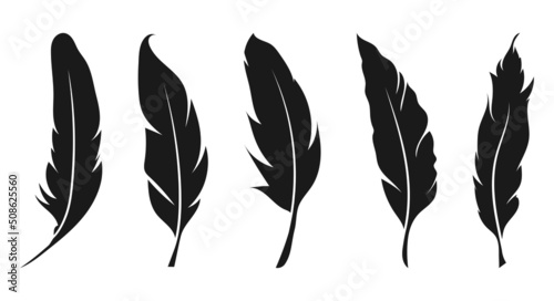 Black feathers icon set isolated on white background © Ivan