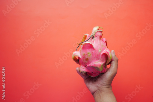  holding a dragon fruit on red background 