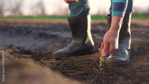 agriculture. farmer hands planting seeds. business a plant agriculture concept. farmer hands is planting seeds in the suburbs beginning of garden the seasonal agricultural work. business agriculture