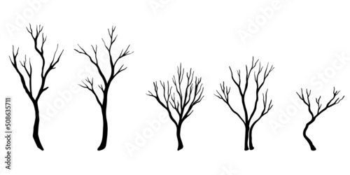 Obraz na plátně set of hand drawn vector doodle Naked trees silhouettes sketch illustrations