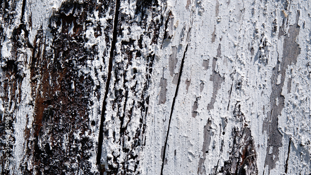 unique wood textures for your spaces unique wood textures for your spaces