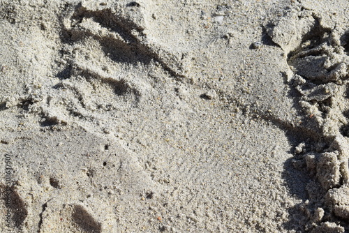 sand footprint 