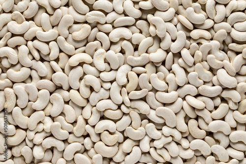 Bunch of raw healthy beans photo