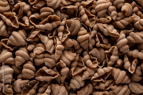 Spelt snail pasta