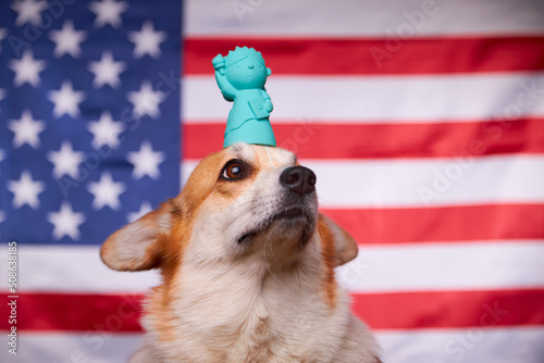 Proud Welsh Corgi Pembroke dog and freedom statue in front of the American flag. Flag Day in the United States of America. Fourth of July Independence Day. Patriotic dog. Training.