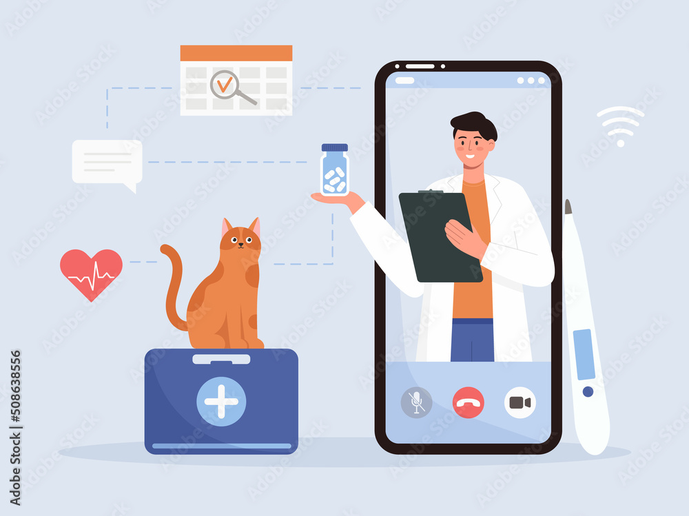 Veterinary doctor online consultation Veterinary doctor online consultation