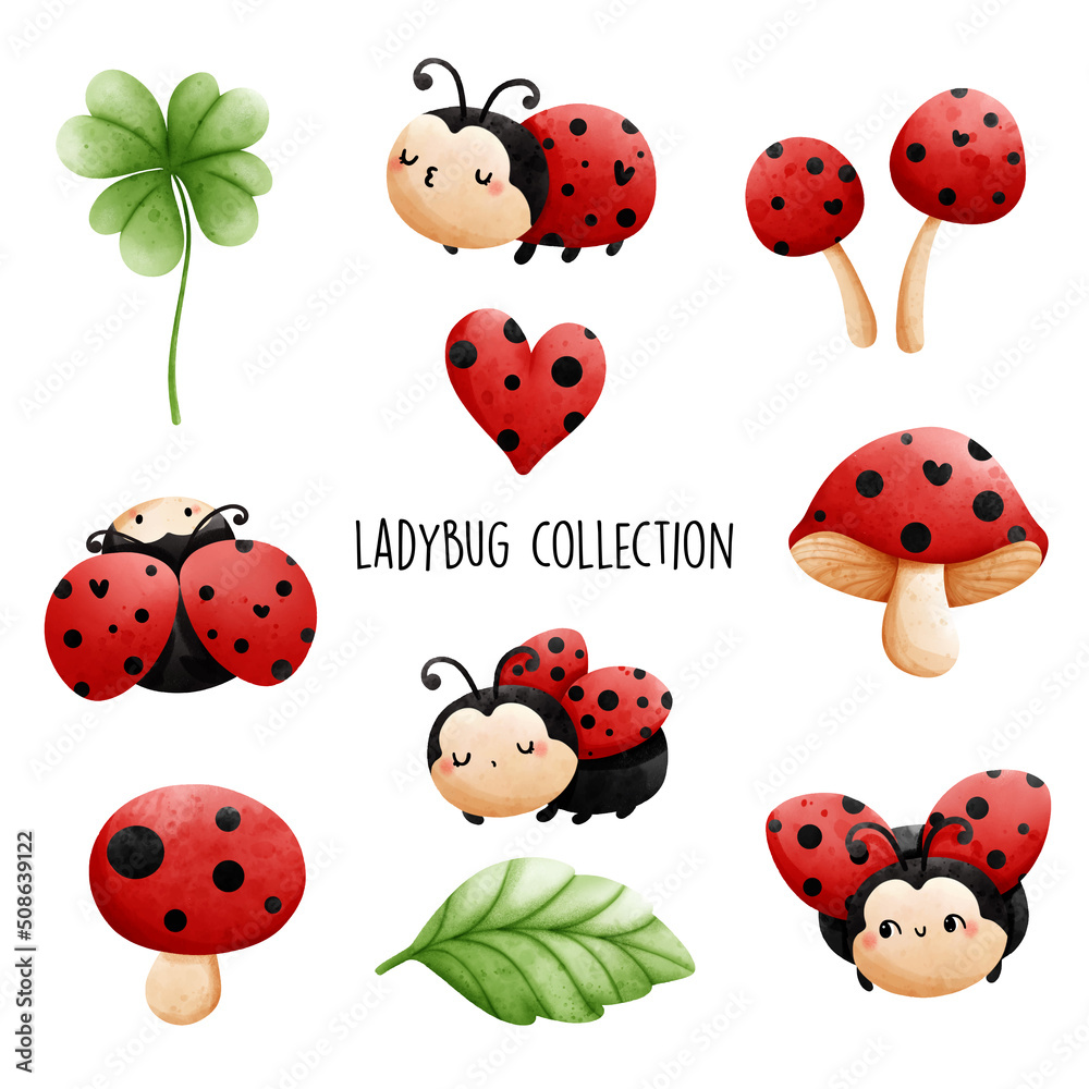 ladybug collection. Vector illustration