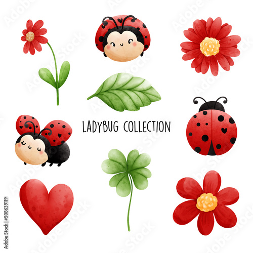 ladybug collection. Vector illustration photo