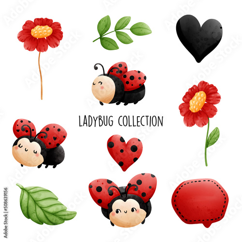 ladybug collection. Vector illustration