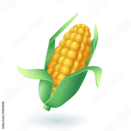 3d cartoon style corn cob icon on white background. Ear of corn, healthy food flat vector illustration. Agriculture, farming, organic food, harvest, nature concept