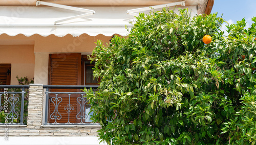 Orange tree with ripe orange at the balcony of a house in Greece