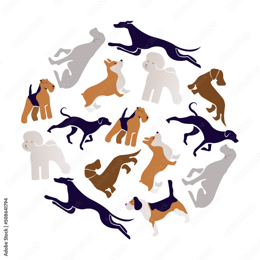 dogs set collection in the round. Vector illustration of various dog breeds such as corgi doberman beagle. Isolated on white
