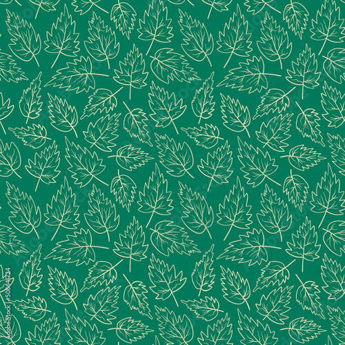 Seamless pattern with nettle leaves. Hand drawn plant on green background. Vector illustration.