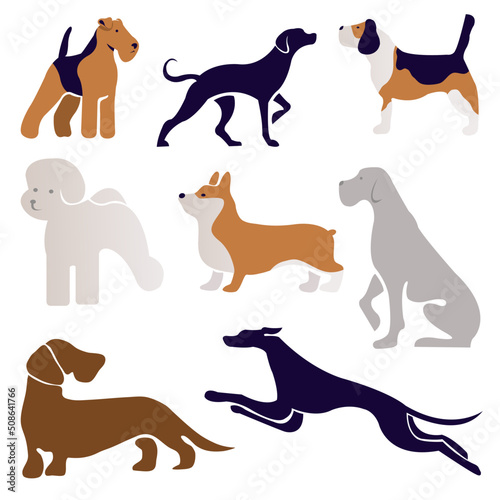 dogs set collection. Vector illustration of various dog breeds such as corgi doberman beagle. Isolated on white