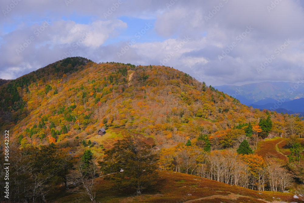 秋の山へ 秋の山へ
