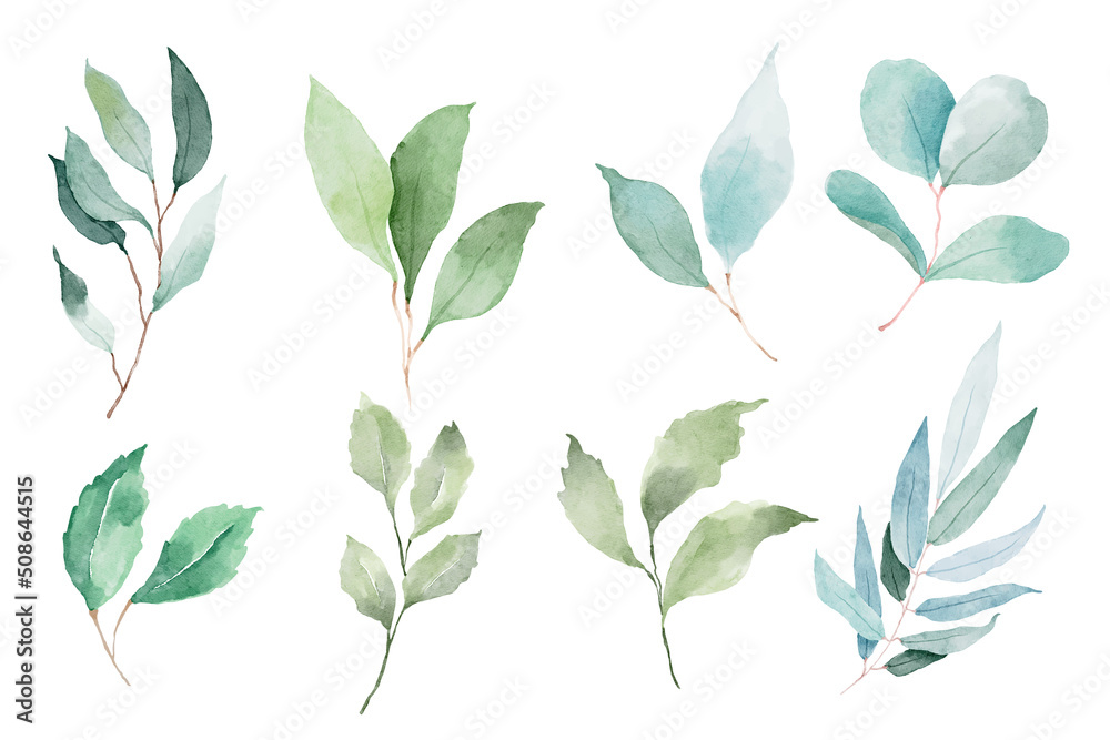 Green leaves vector watercolor set