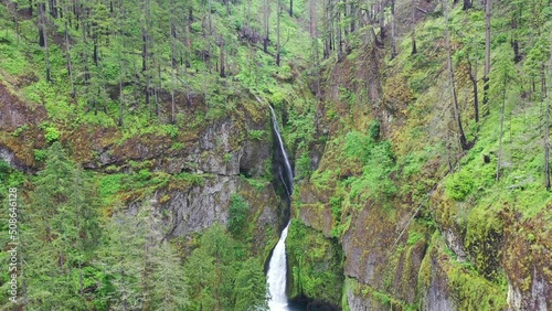 Wahclella Falls flows down a basalt cliff into a beautiful slot canyon and eventually runs into the scenic Columbia River Gorge in Oregon. photo