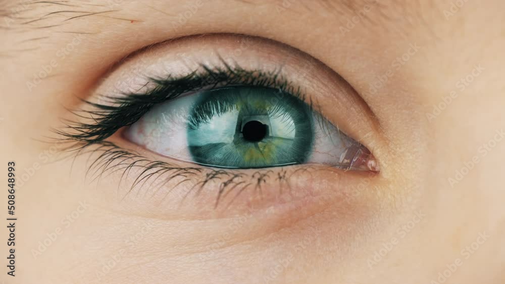 Child blue eye looking ahead. Eye of a young girl close up Child blue eye looking ahead. Eye of a young girl close up