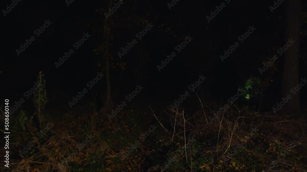 cinematic shot, creepy zombie woman runs out of the dark and attacks. horror. halloween. real evil. cinematic shot, creepy zombie woman runs out of the dark and attacks. horror. halloween. real evil.