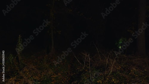 cinematic shot, creepy zombie woman runs out of the dark and attacks. horror. halloween. real evil.