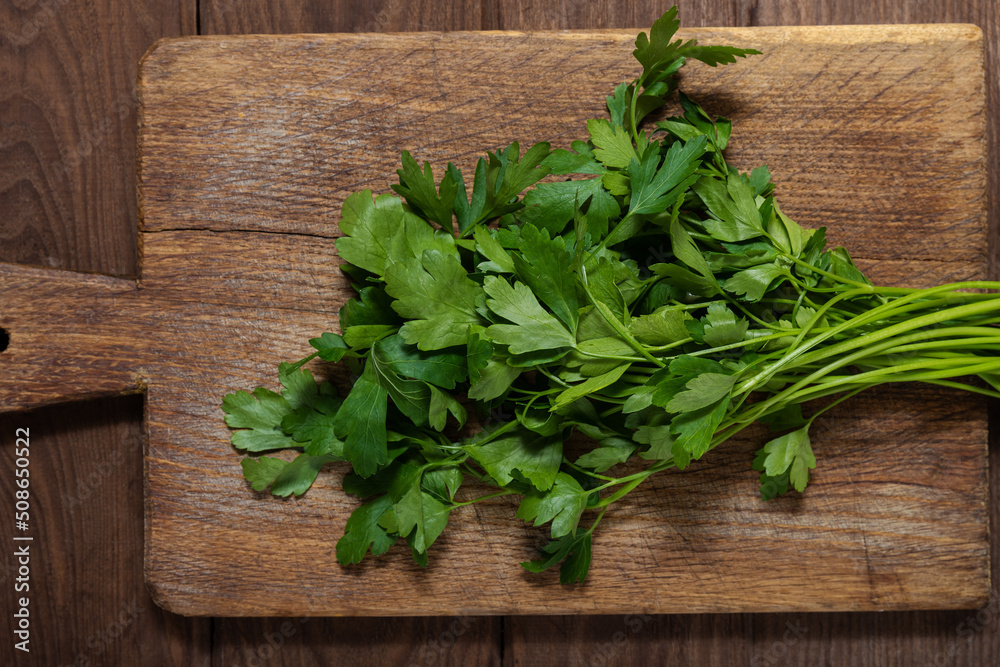 Red hot peppers and herbs on a wooden cutting board. Cooking. Flat lay. Red hot peppers and herbs on a wooden cutting board. Cooking. Flat lay.