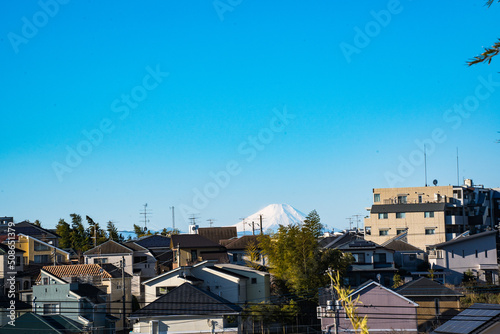 柏から眺望する正月の富士山