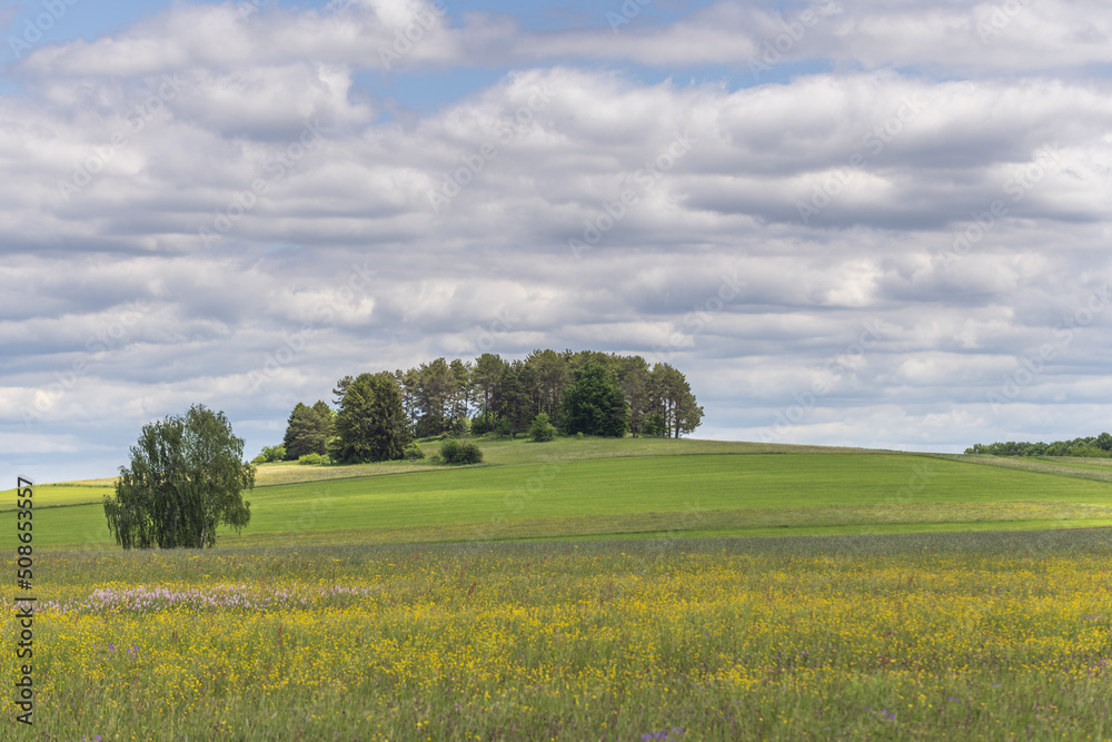 Nature reserve of Rotenbach meadows in High Black Forest. Nature reserve of Rotenbach meadows in High Black Forest.