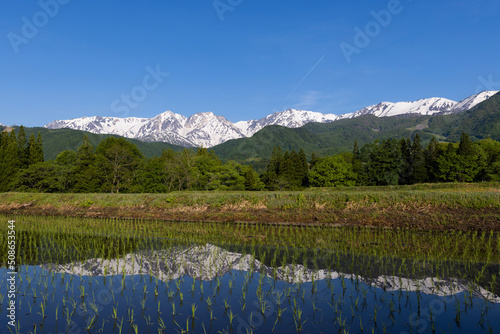 lake in the mountains