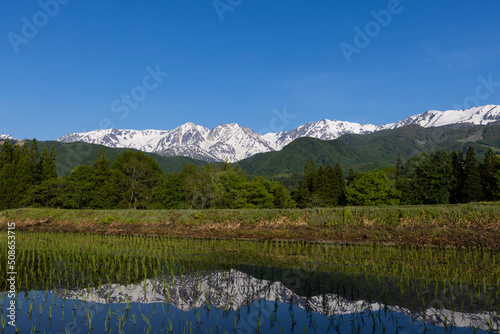 lake in the mountains