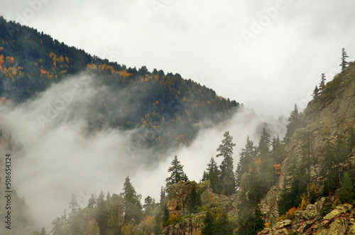fog in the mountains