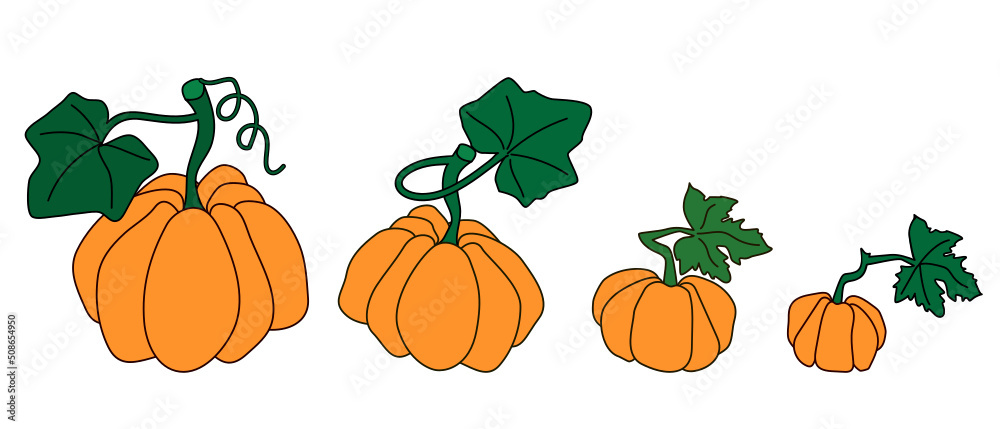 Set of hand-drawn pumpkins. Autumn mood card template. Vector illustration.