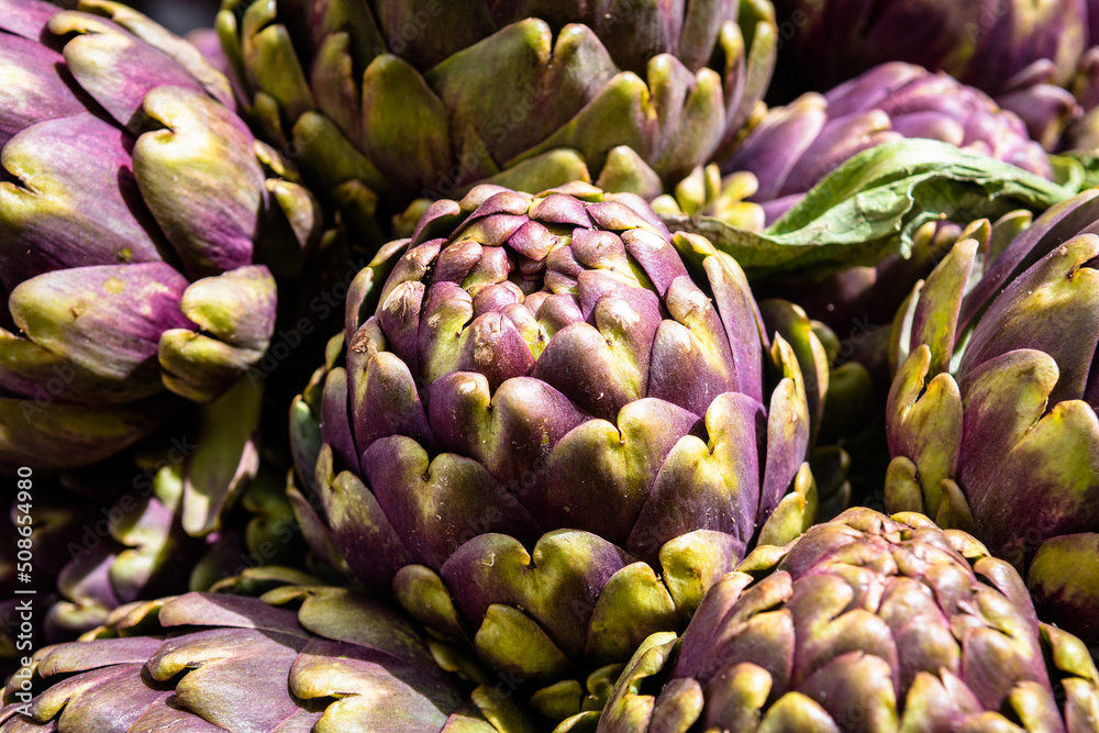 close up view of artichokes pattern close up view of artichokes pattern