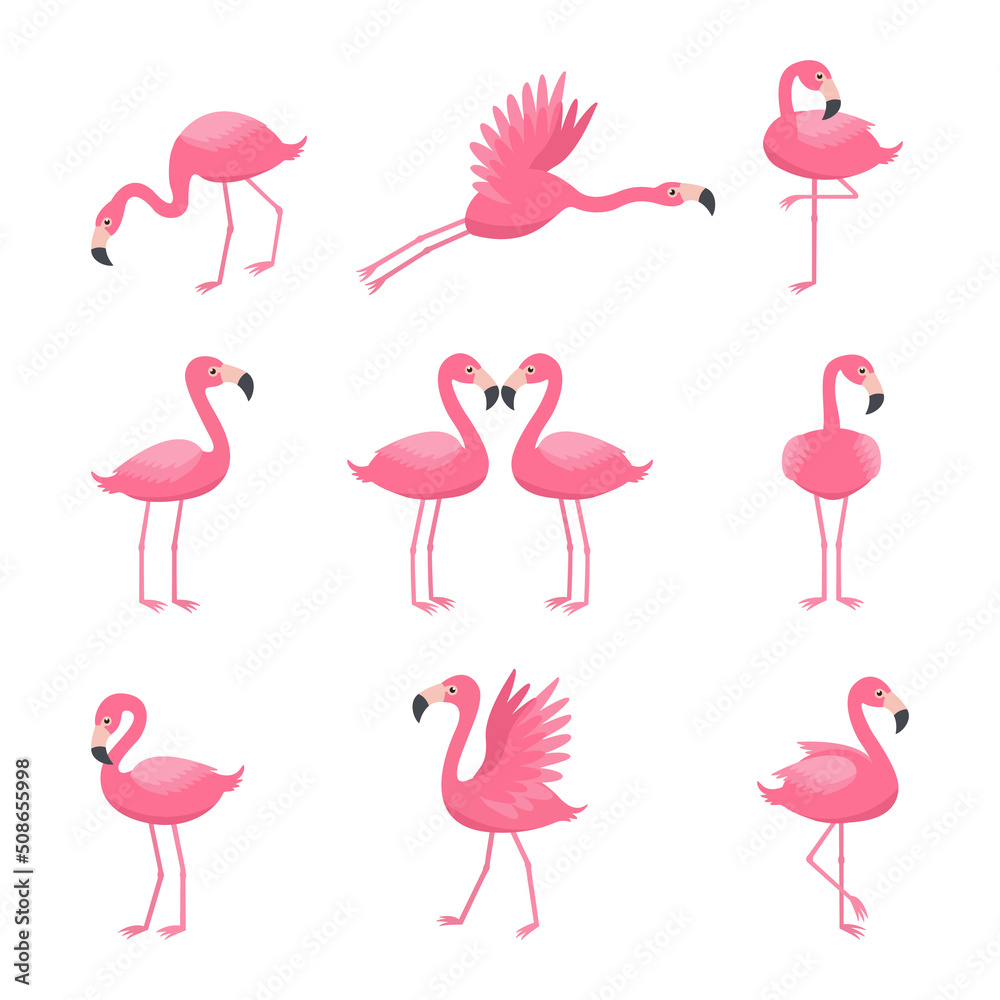 Obraz premium Set of pink flamingos with different postures