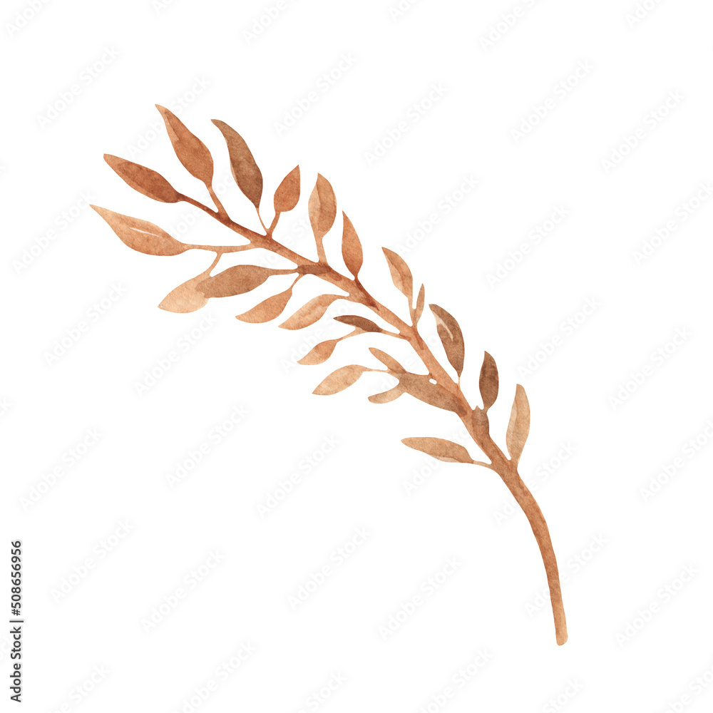 Plant element. Illustration isolated on white background leaves—beige element.