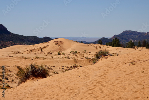 coral pink sand dunes in bright sunlight