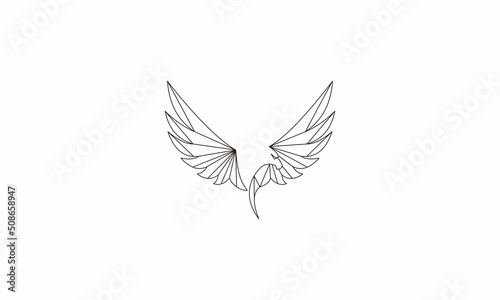 geometri eagle eagle
