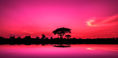 Leinwandbilder Rosa Safari.Amazing sunset and sunrise, tree silhouettes against sun setting, dark trees on open field, dramatic sunrise safari themes.  © Mohwet