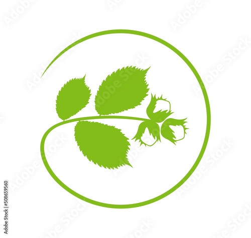 Hazelnut branch logo. Isolated hazelnut on white background