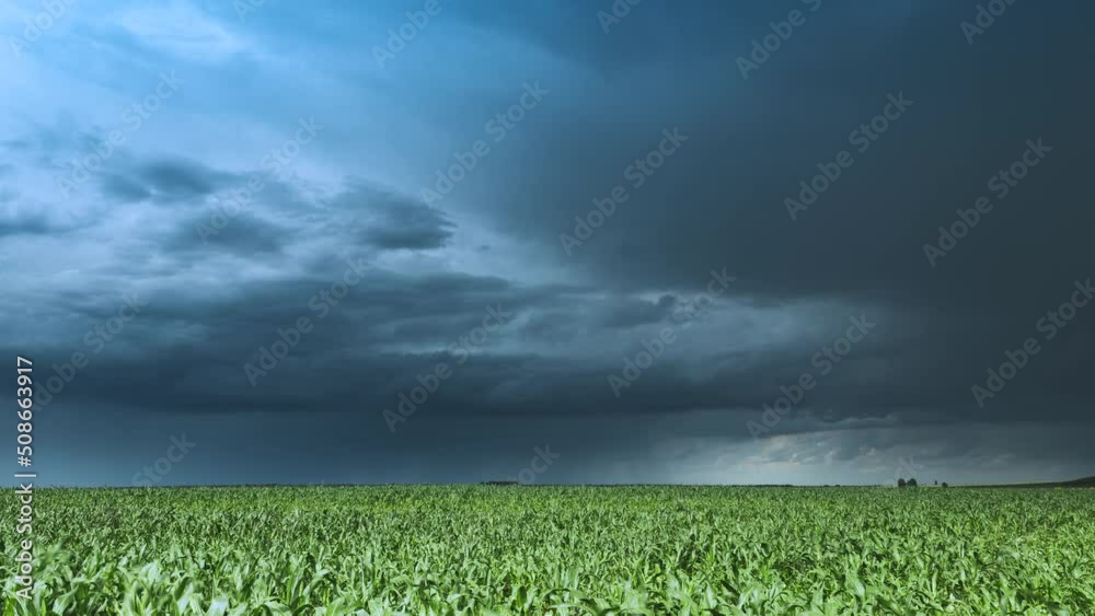 Cloudy Rainy Sky. Dramatic Sky With Dark Clouds In Rain Day. Storm And Clouds Above Summer Maize Corn Field. Time Lapse, Timelapse, Time-lapse. Hyper lapse 4K. Agricultural And Weather Forecast