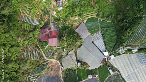 General Landscape View of the Brinchang District Within the Cameron Highlands Area of Malaysia