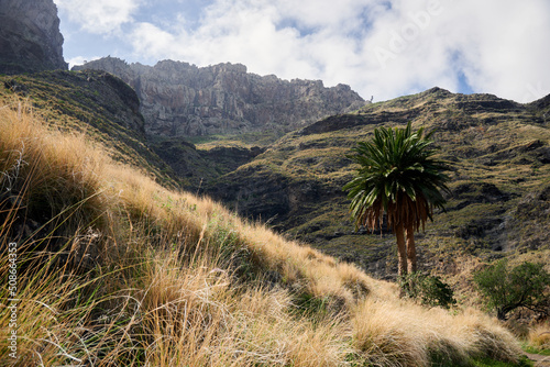 Tamadaba Landscape views in Gran Canaria photo