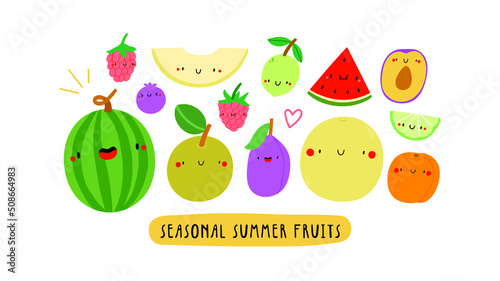 Cute vector illustration with Seasonal Summer Fruits on a white background. Smiley cartoon food characters - Watermelon, Raspberry, Plum, Asian Pear, Apricot, Melon, Lime. Healthy fruits banner