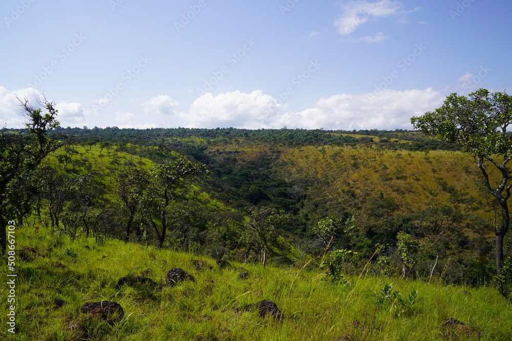 Obraz premium landscape with trees